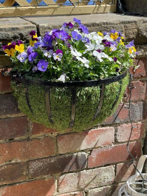 Cute And Cosy 2 Bed Cottage Honley Buitenkant foto